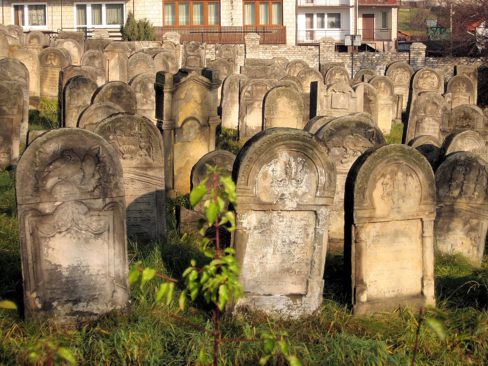 Cmentarz żydowski, Starachowice