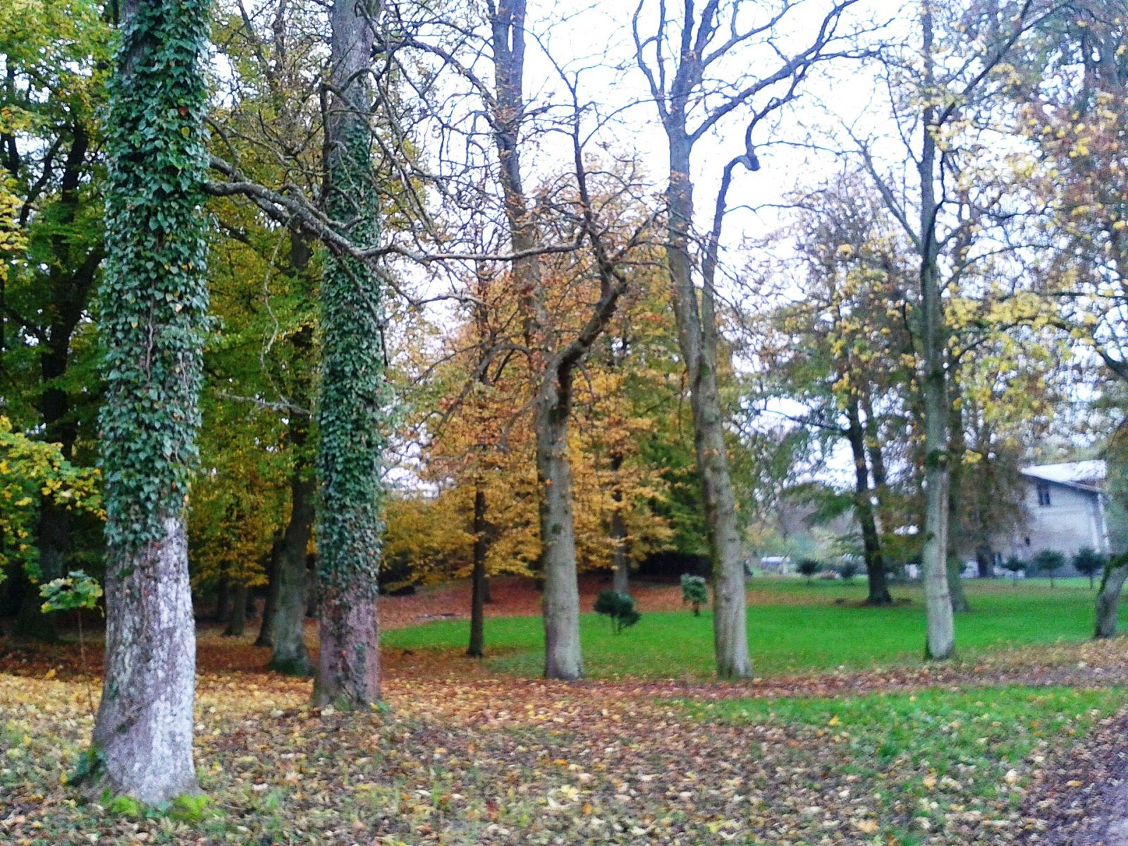 Park dworski, Karnice