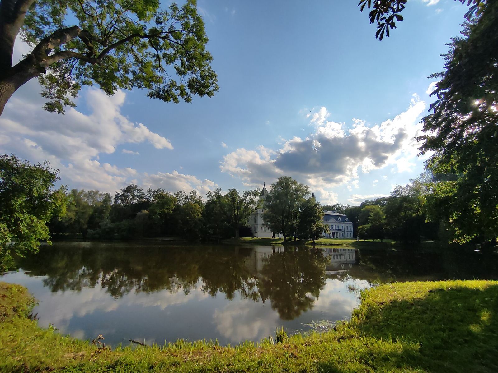 Park pałacowy, Radziejowice
