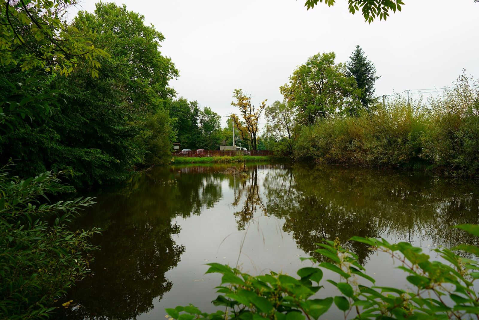 Park dworski, Żerosławice