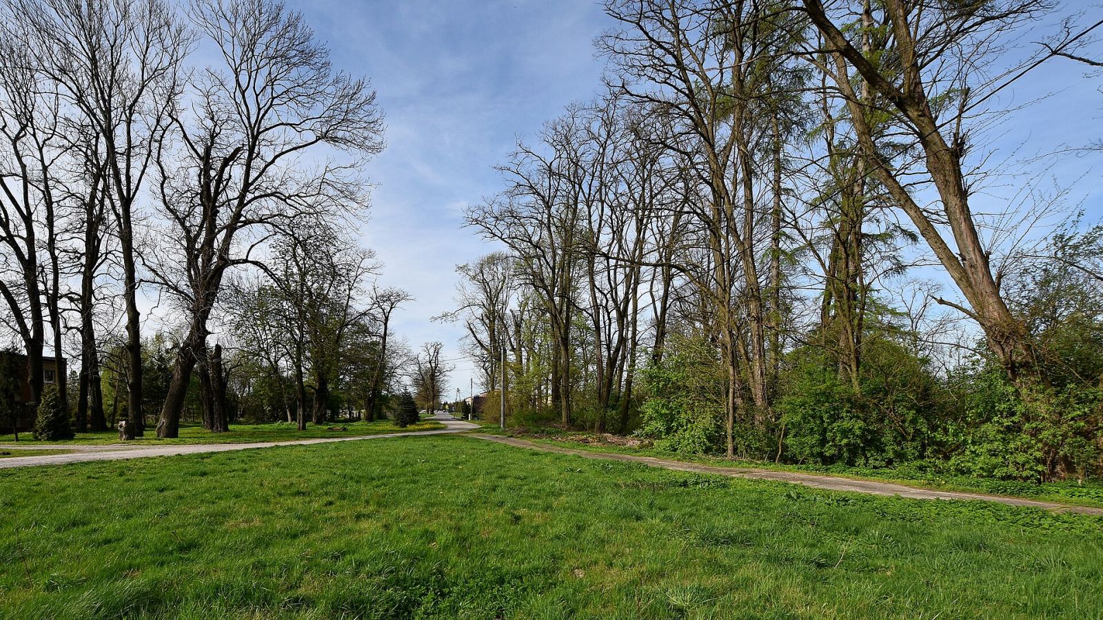 Aleja dojazdowa, Przyborów