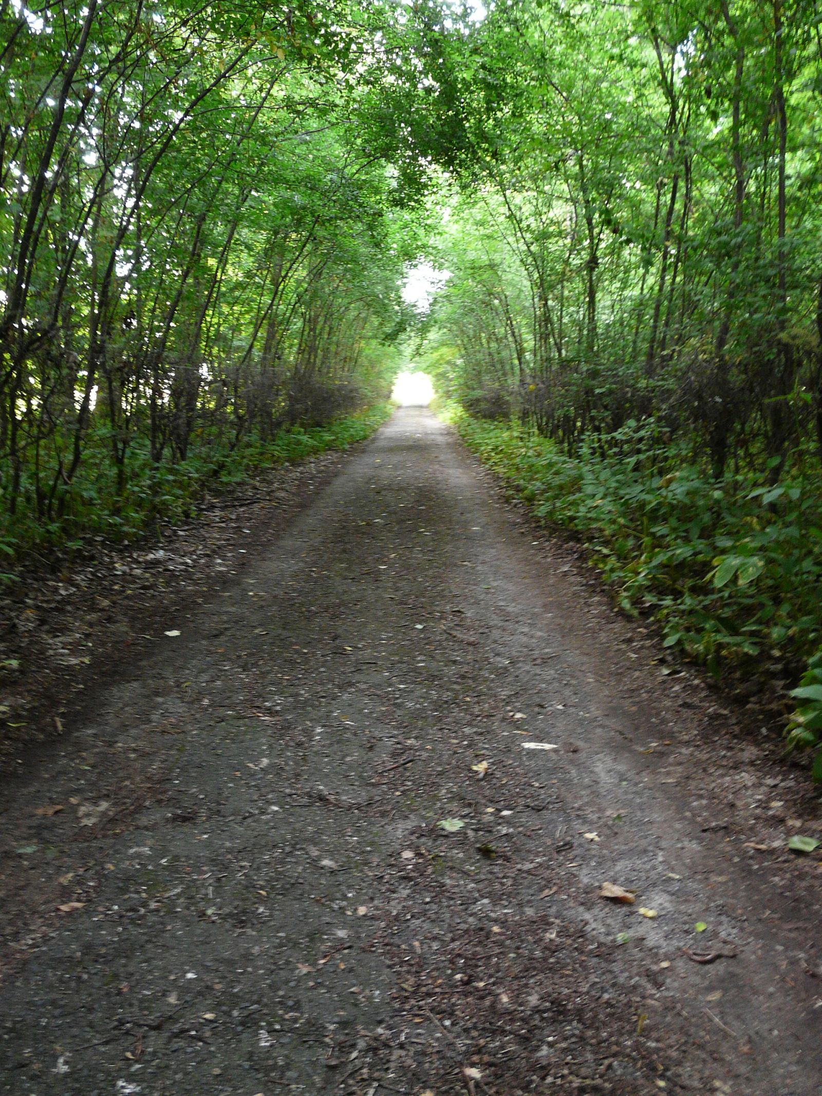 Park, Sufczyn