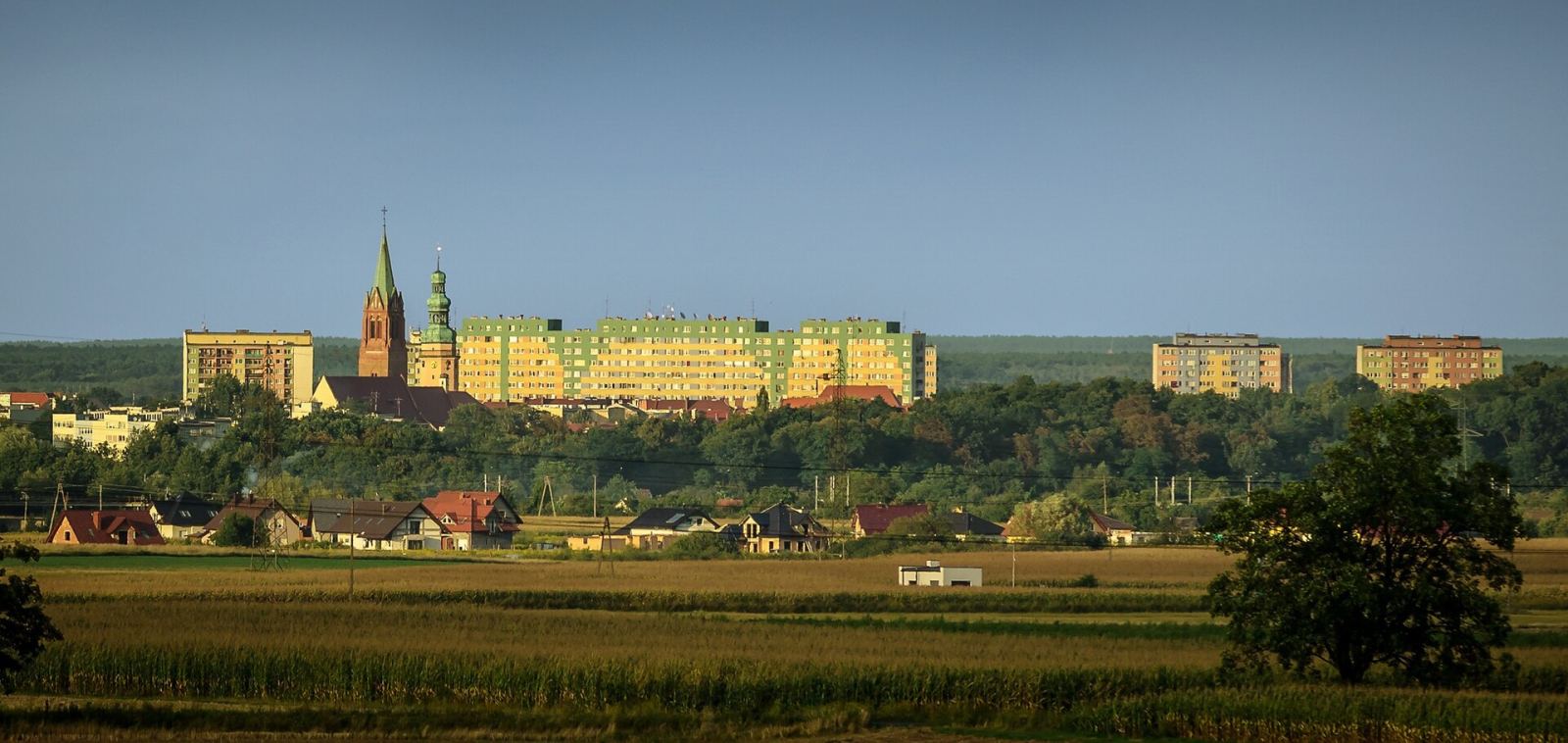 Miasto, Oława