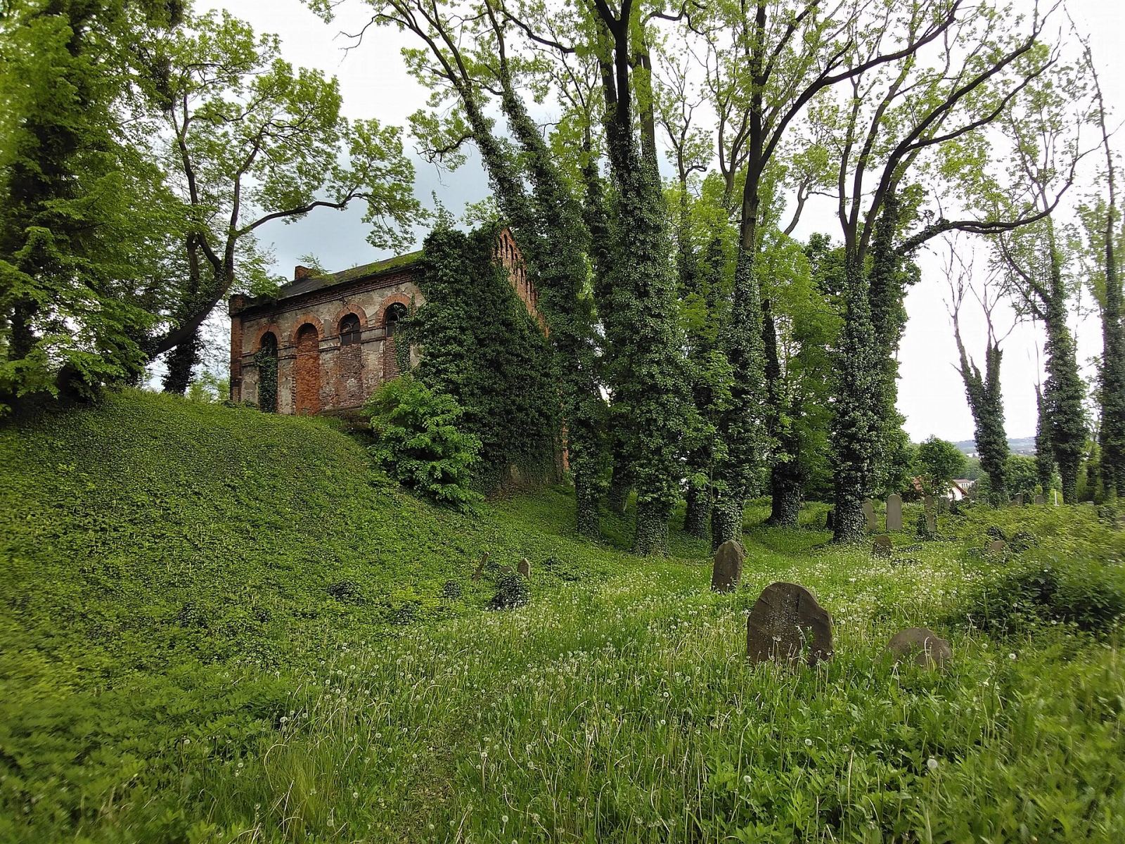 Cmentarz żydowski, tzw. Stary, Cieszyn