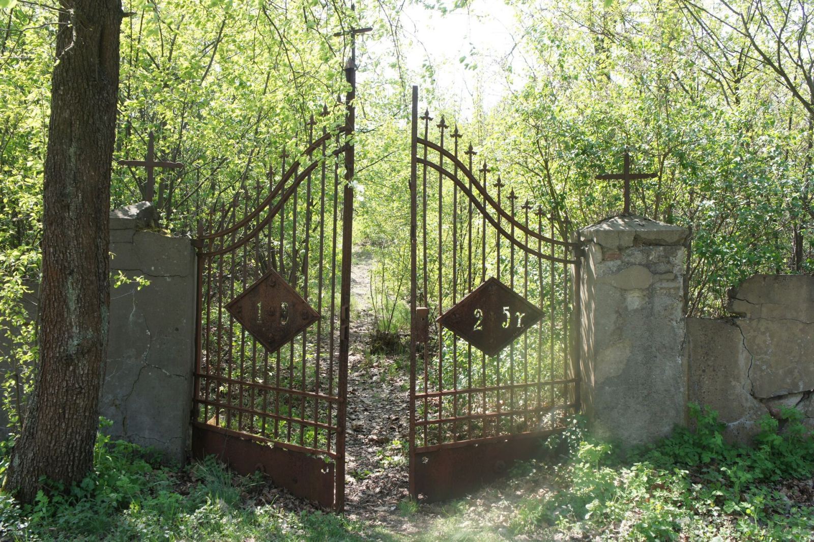 Cmentarz ewangelicko-augsburski ,,osadników niemieckich", Góra Kalwaria
