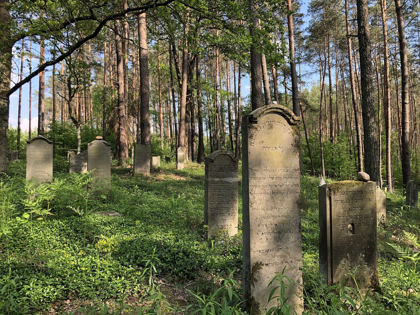 Cmentarz żydowski, Miłocice