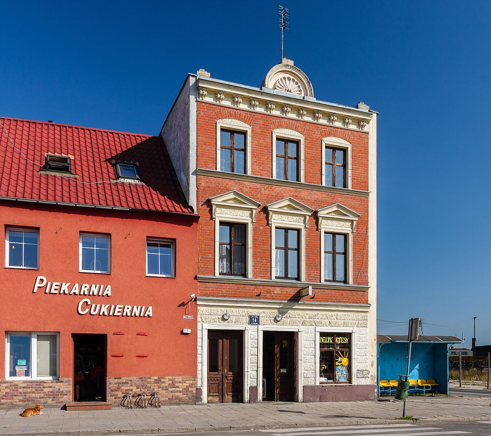 Dom, Ścinawa