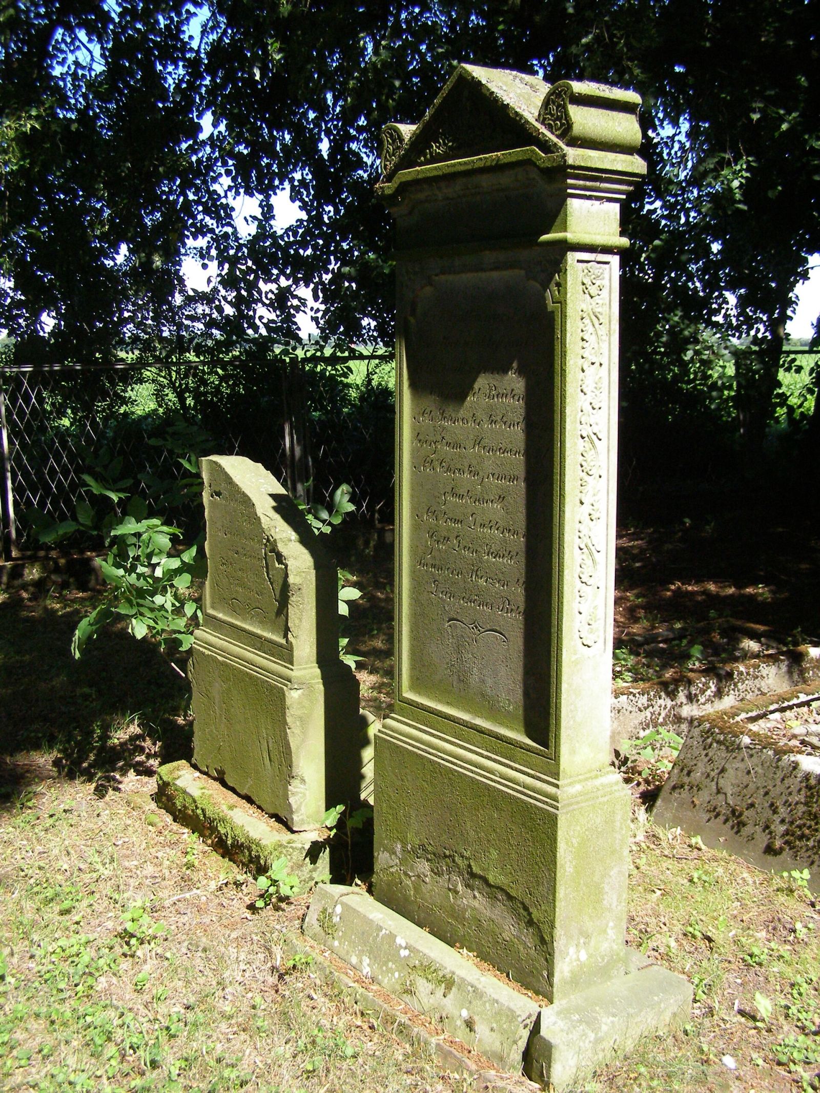 Cmentarz mennonicki, Szaleniec