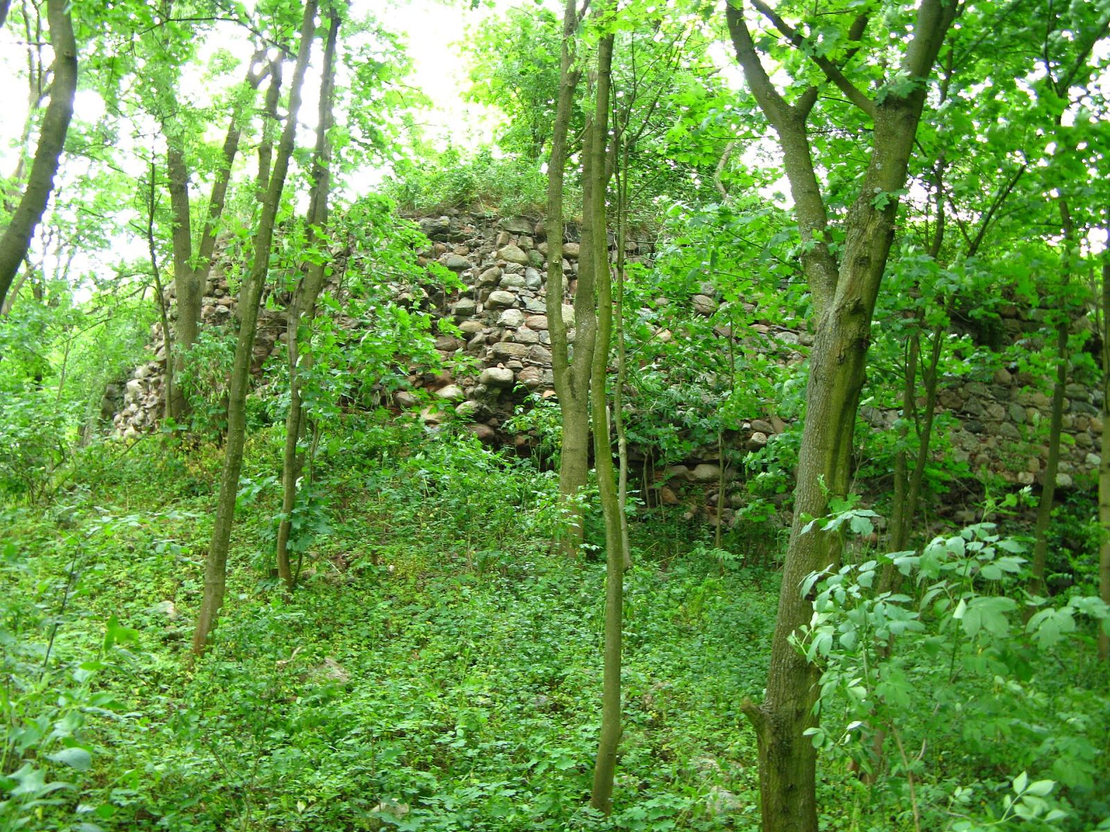 Ruiny zamku, Lipienek