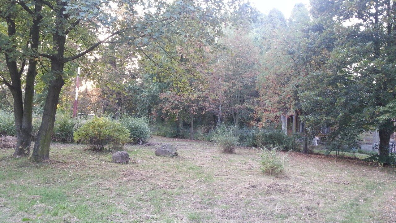 Park dworski, Machcino