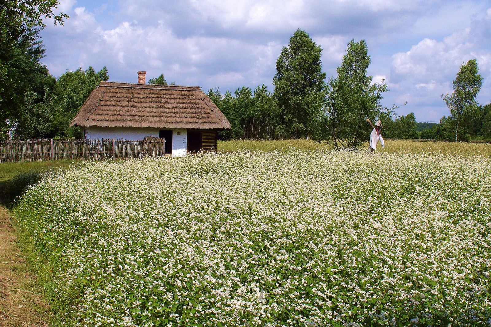 Chałupa z Lipnicy, Brzezówka