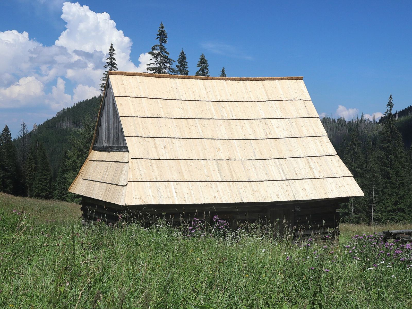 Szałas mieszkalno-gospodarczy nr 11, Zakopane