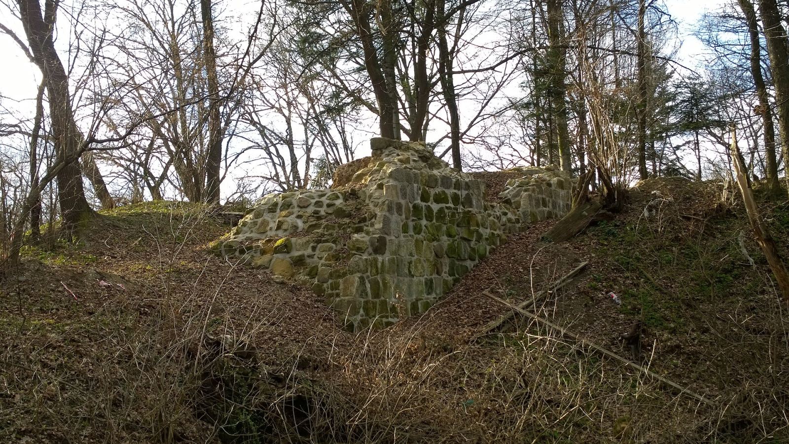 Ruiny Zamku Golesz, Krajowice