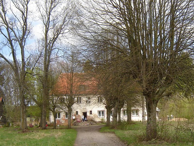 Park dworski, Buczki