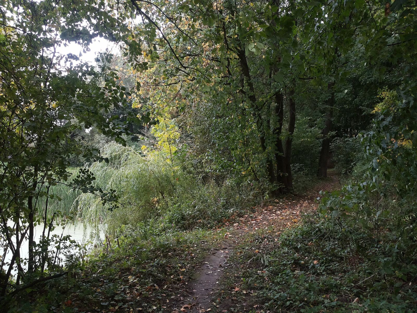 Park, Tomaszowice