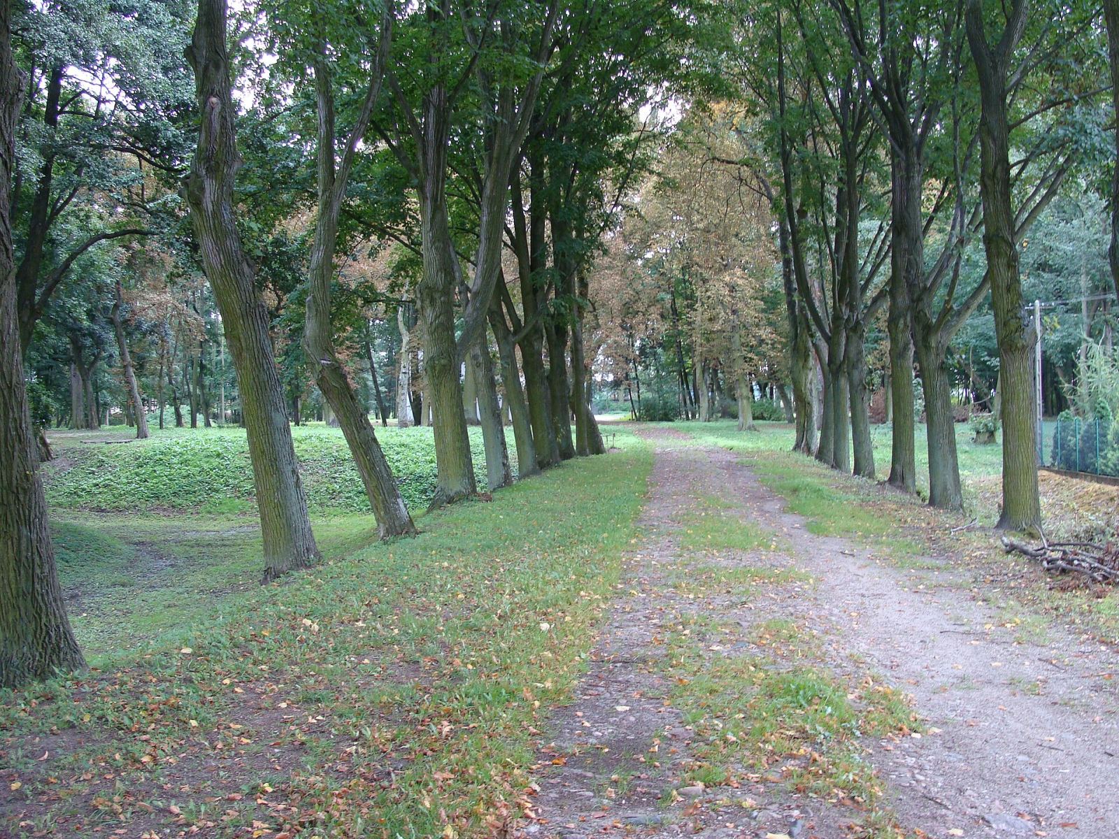 Park podworski, Wrząca