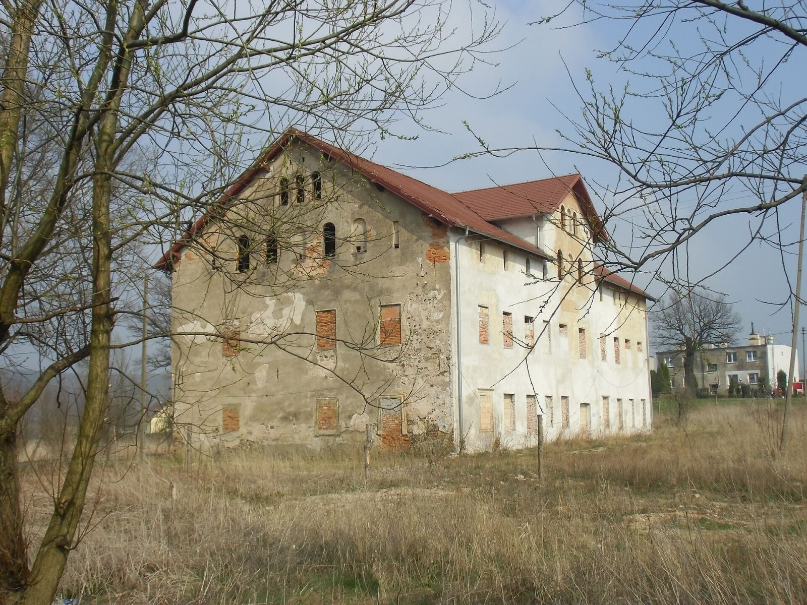 Pałac, ob. dom, Lipa