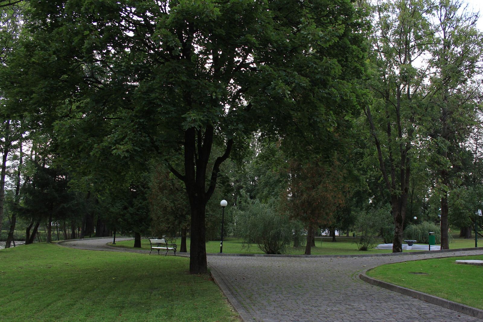 Park, Olszanica