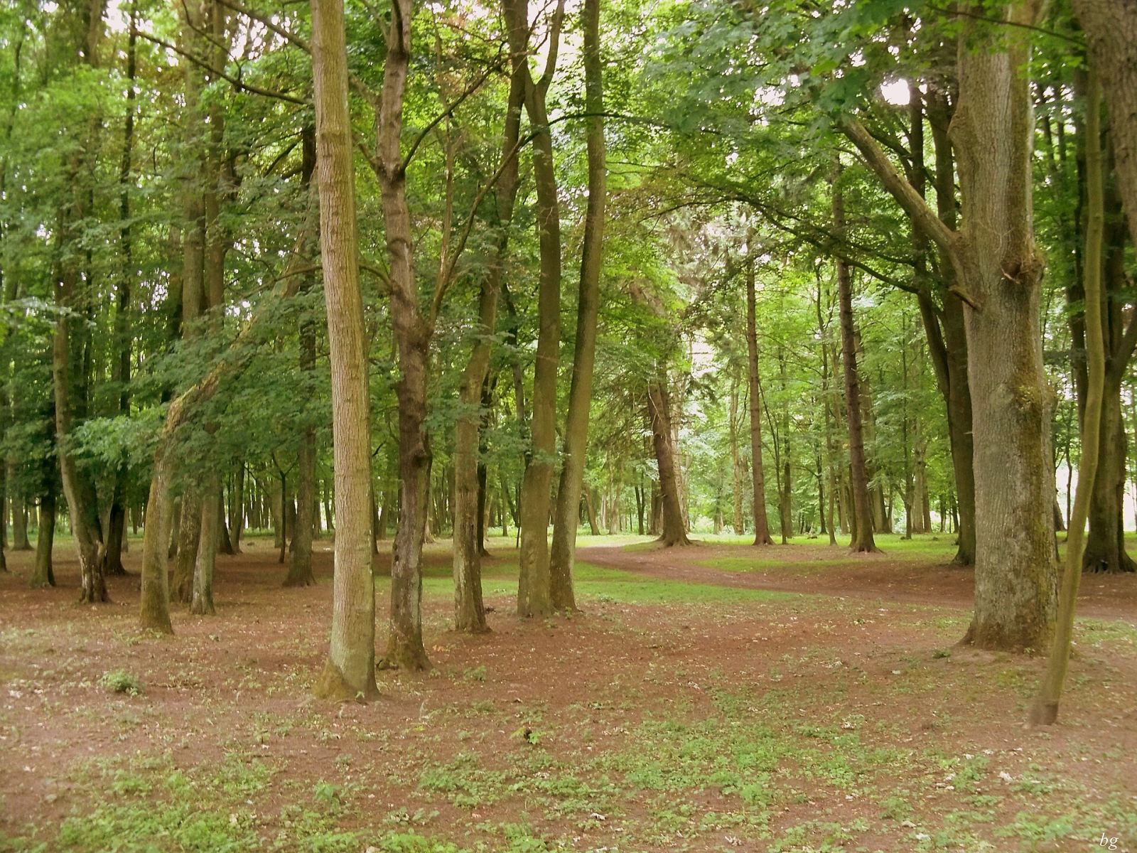 Park pałacowy, Tychowo