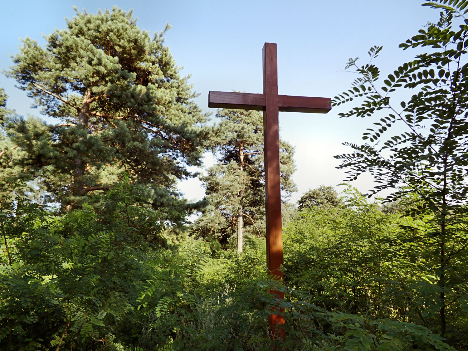 Cmentarz, Lipia Góra