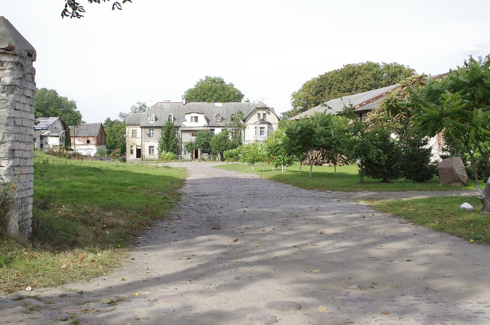 Park pałacowy, Wilczkowo