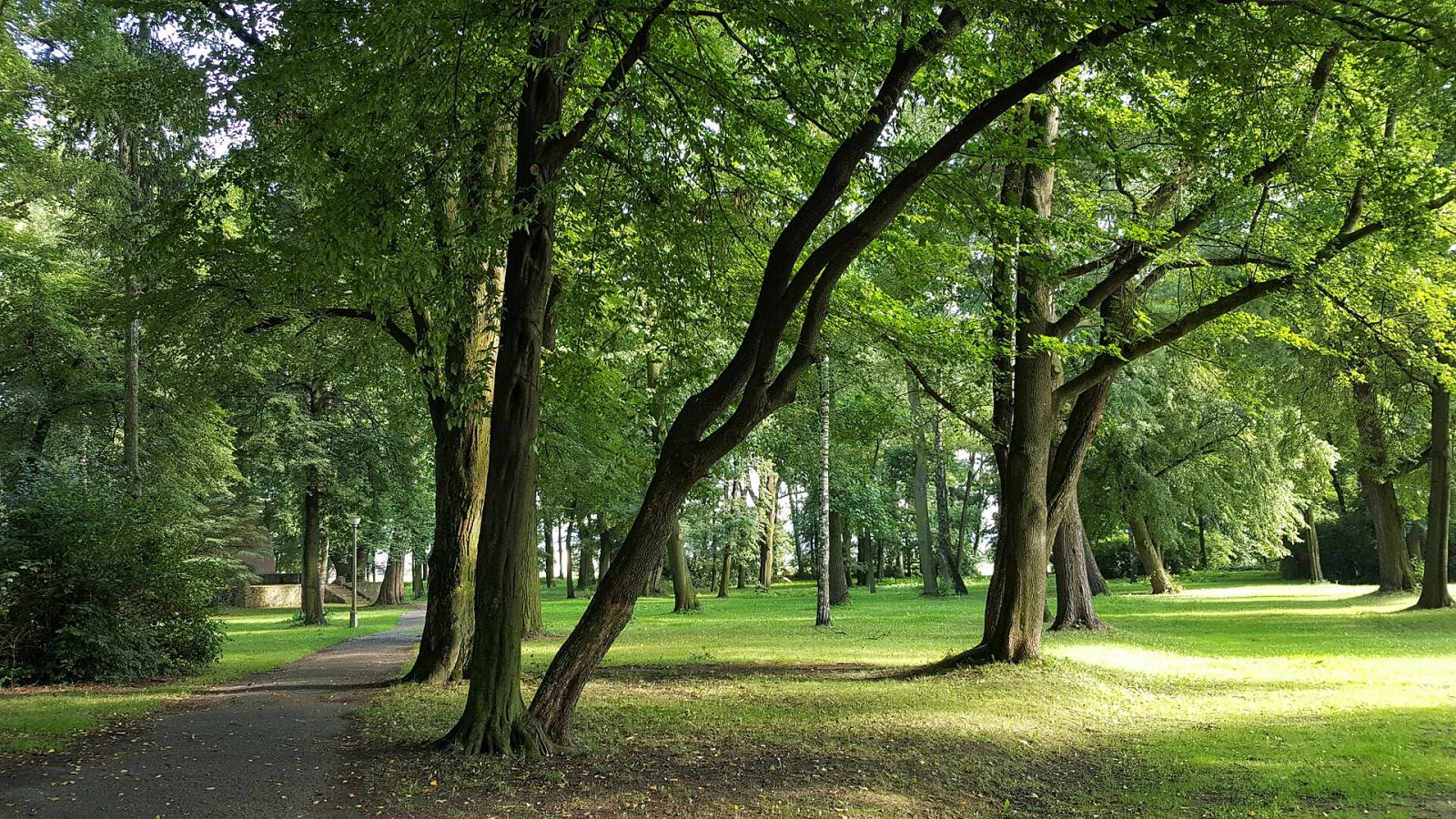 Park, Wojnicz