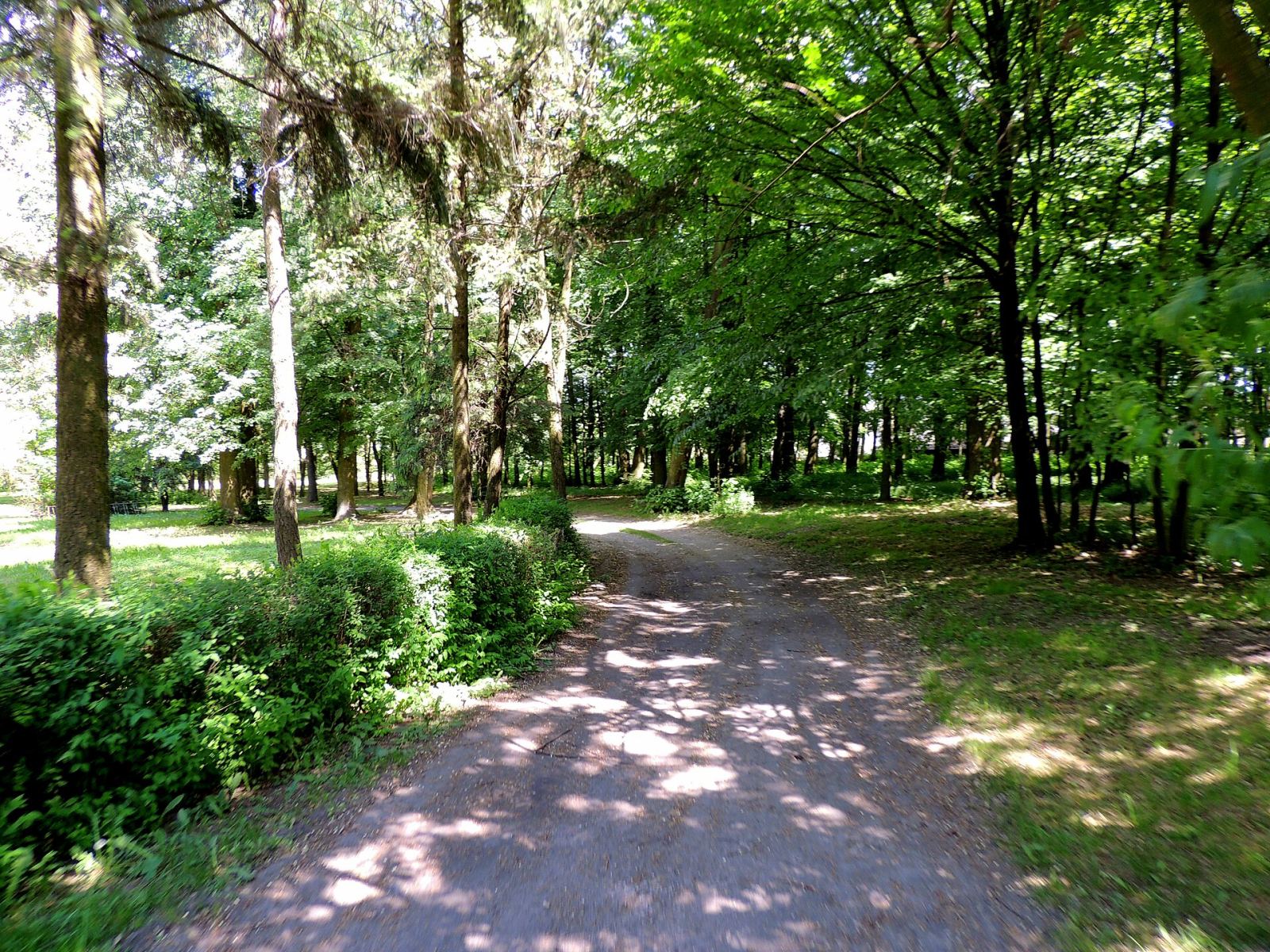 Park dworski, krajobrazowy, Rudnik