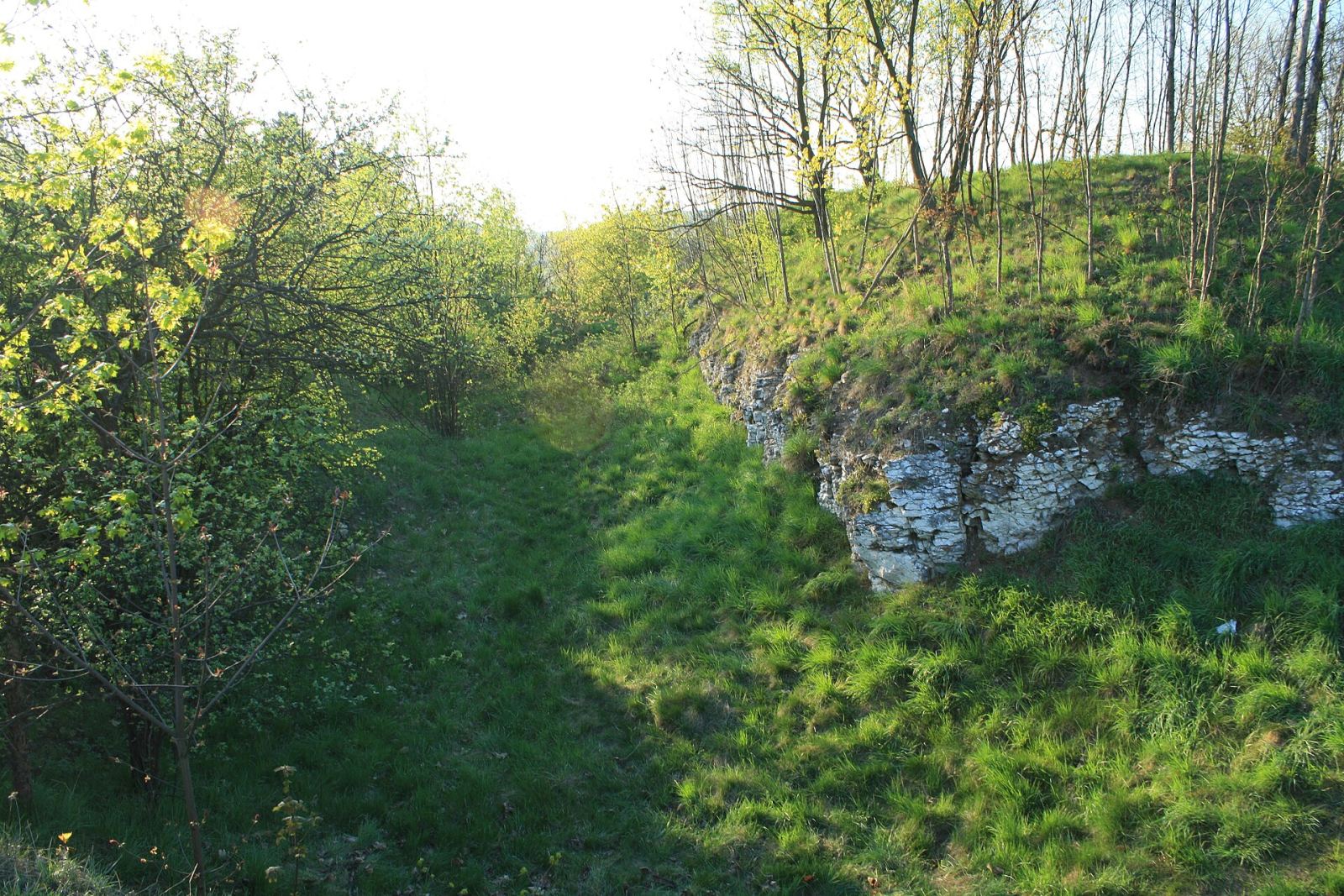 Szaniec ogniowy FS-29, Kraków