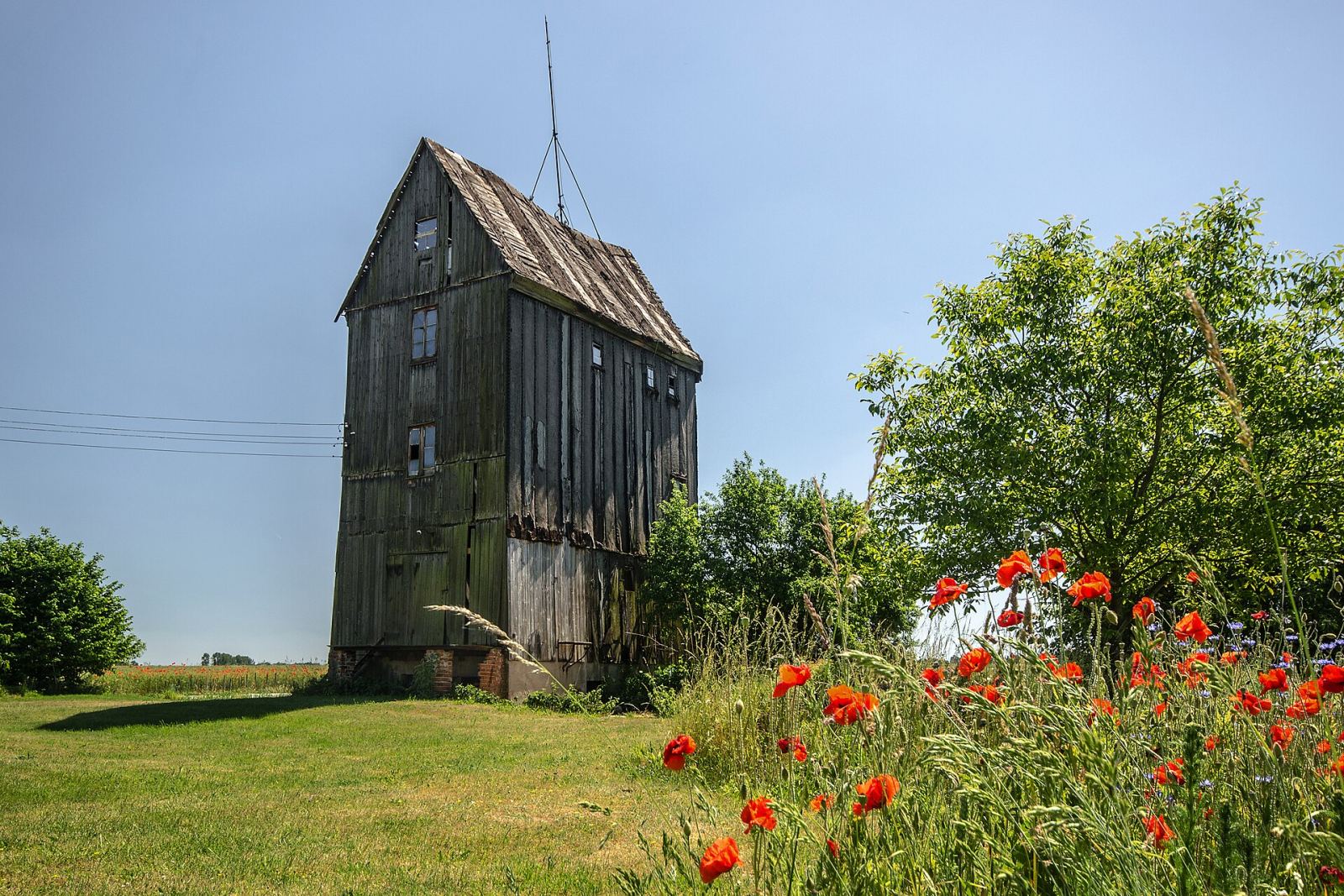 Wiatrak-młyn, Żuchlów