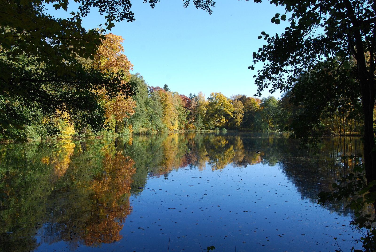 Park, Mysłakowice