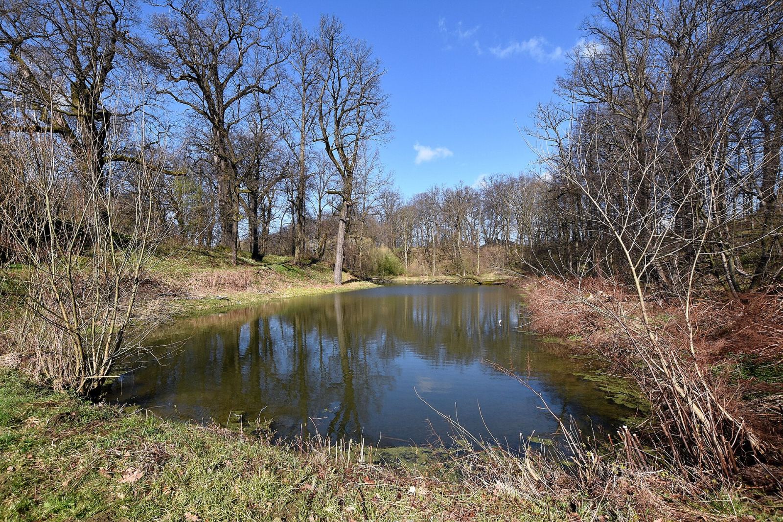 Park, Targowiska