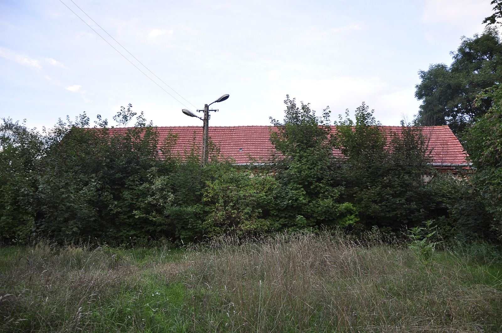 Chlewnia, Ojerzyce