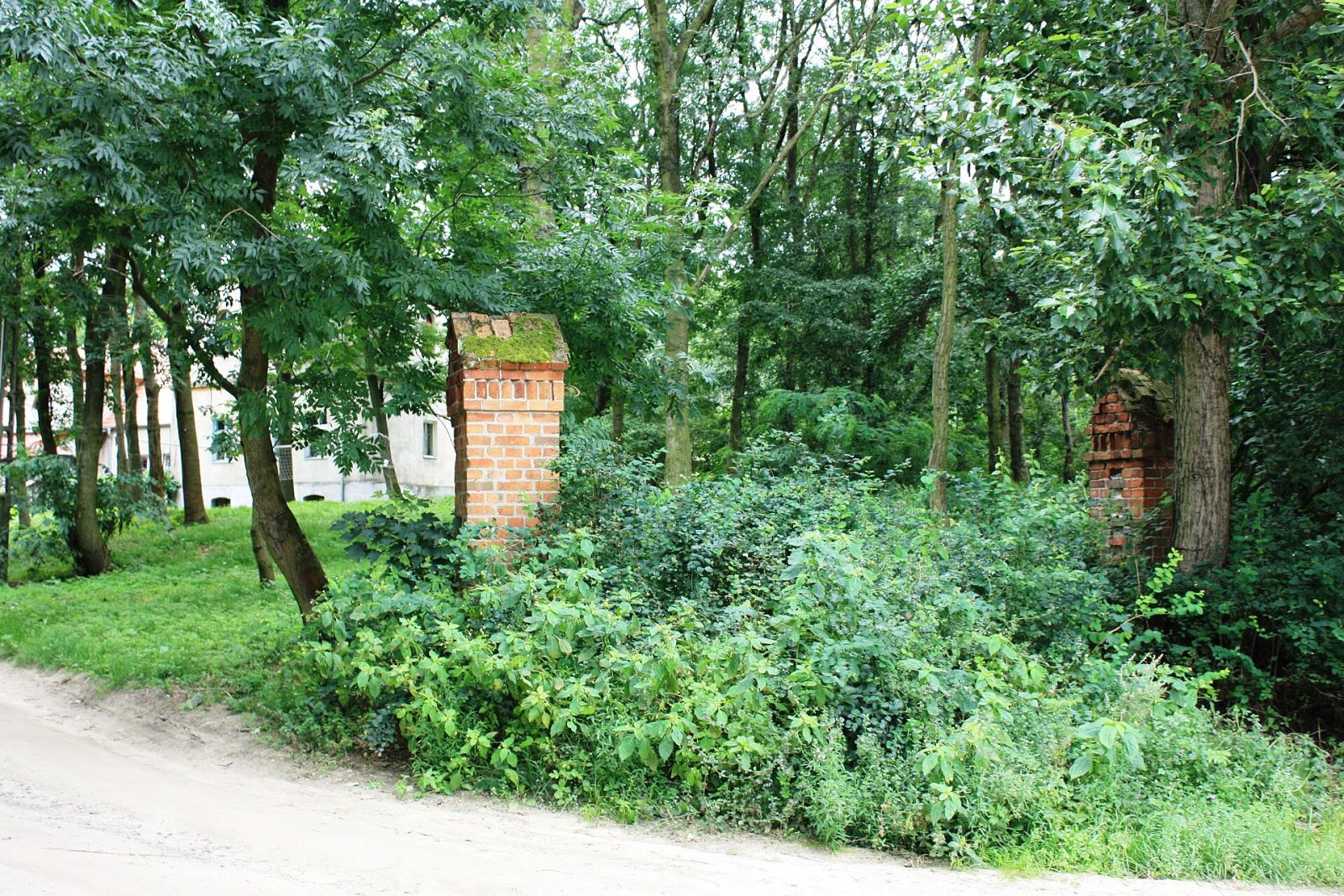 Park, Rostworowo