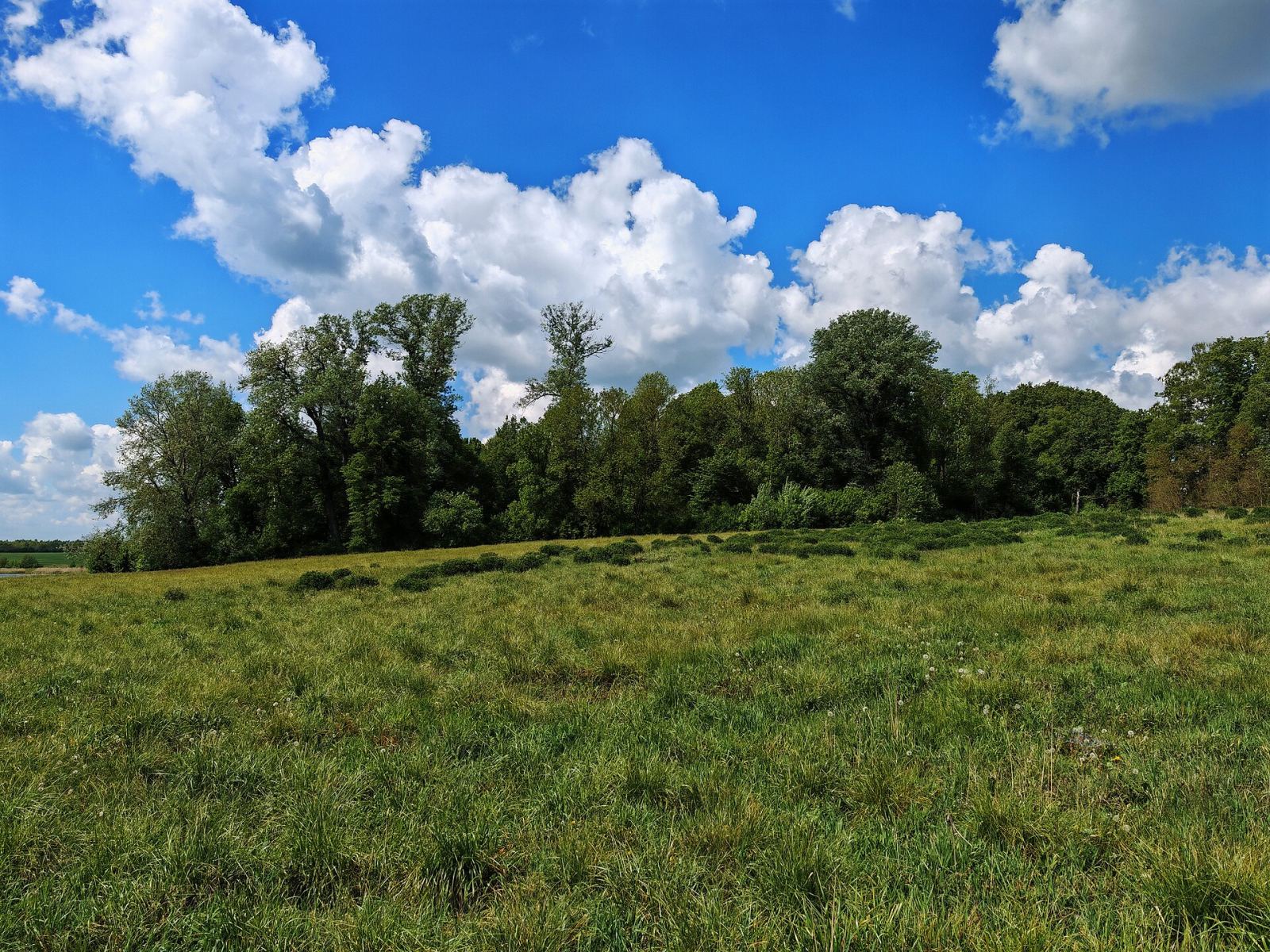 Park, Bobra Wielka