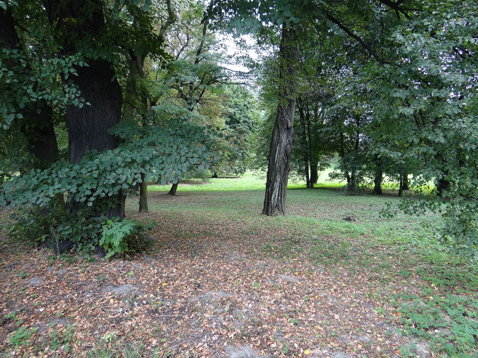 Park, Niegoszowice