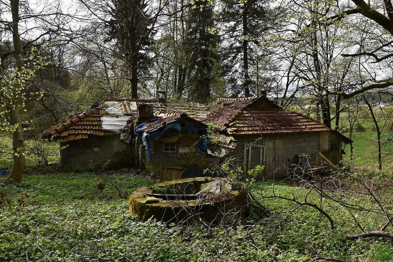 Serownia, Kobyle