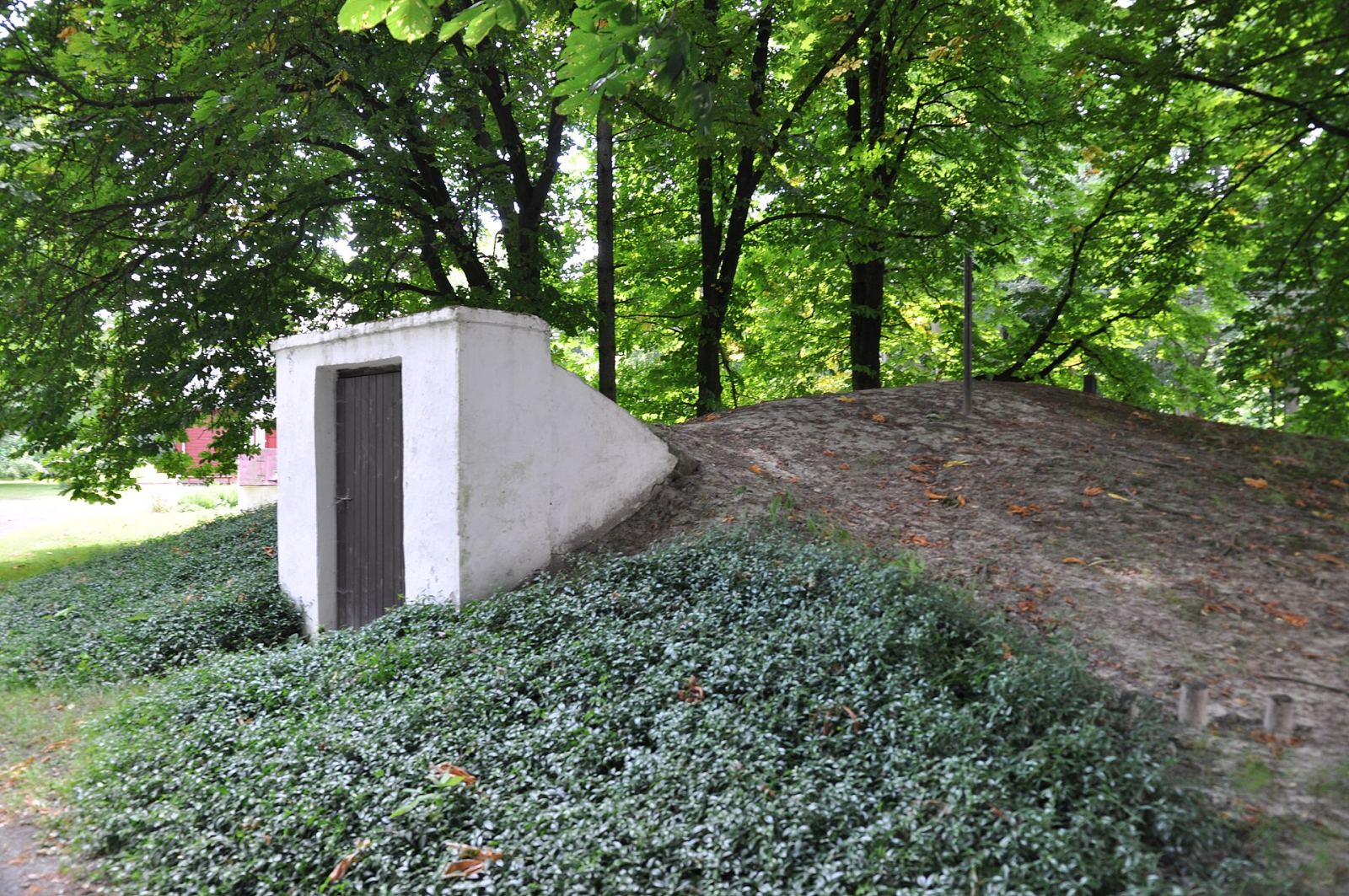 Piwnica, Kopina