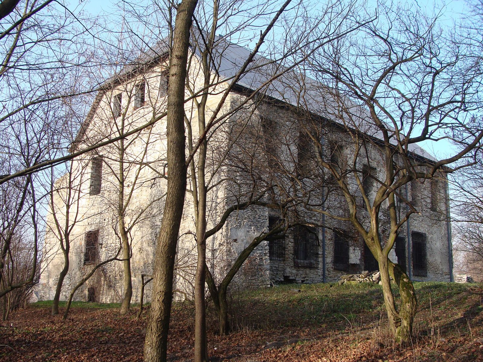 Dwór, Szaniec
