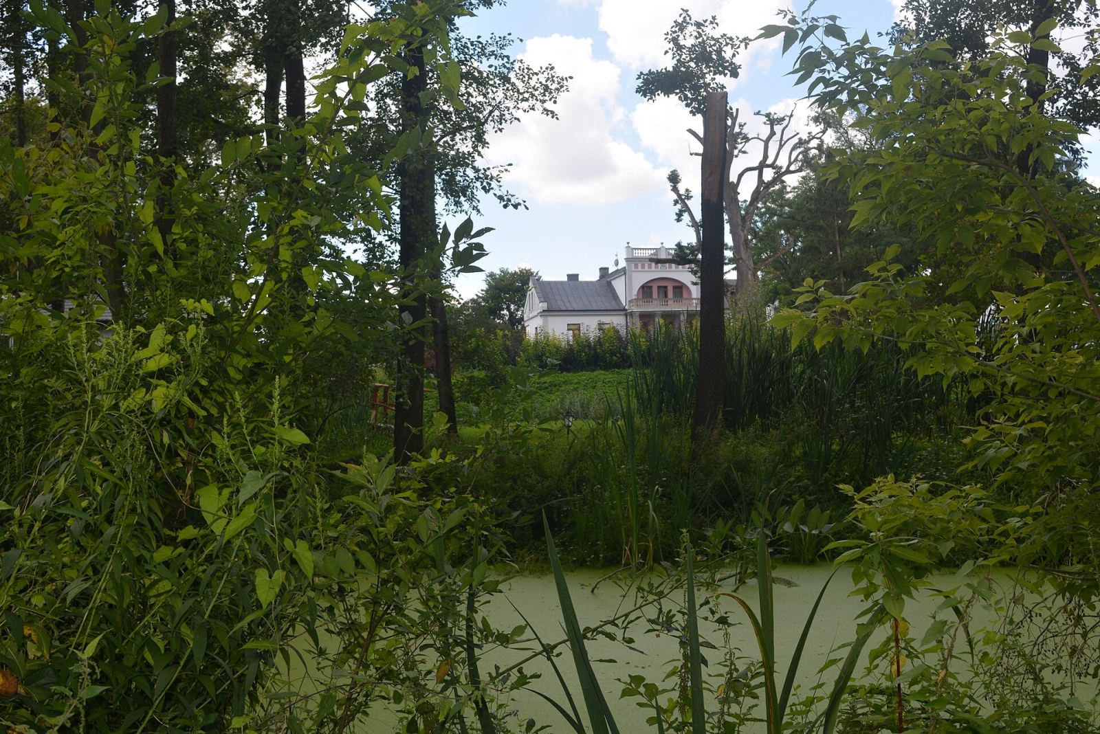 Park dworski, Nowe Kotlice