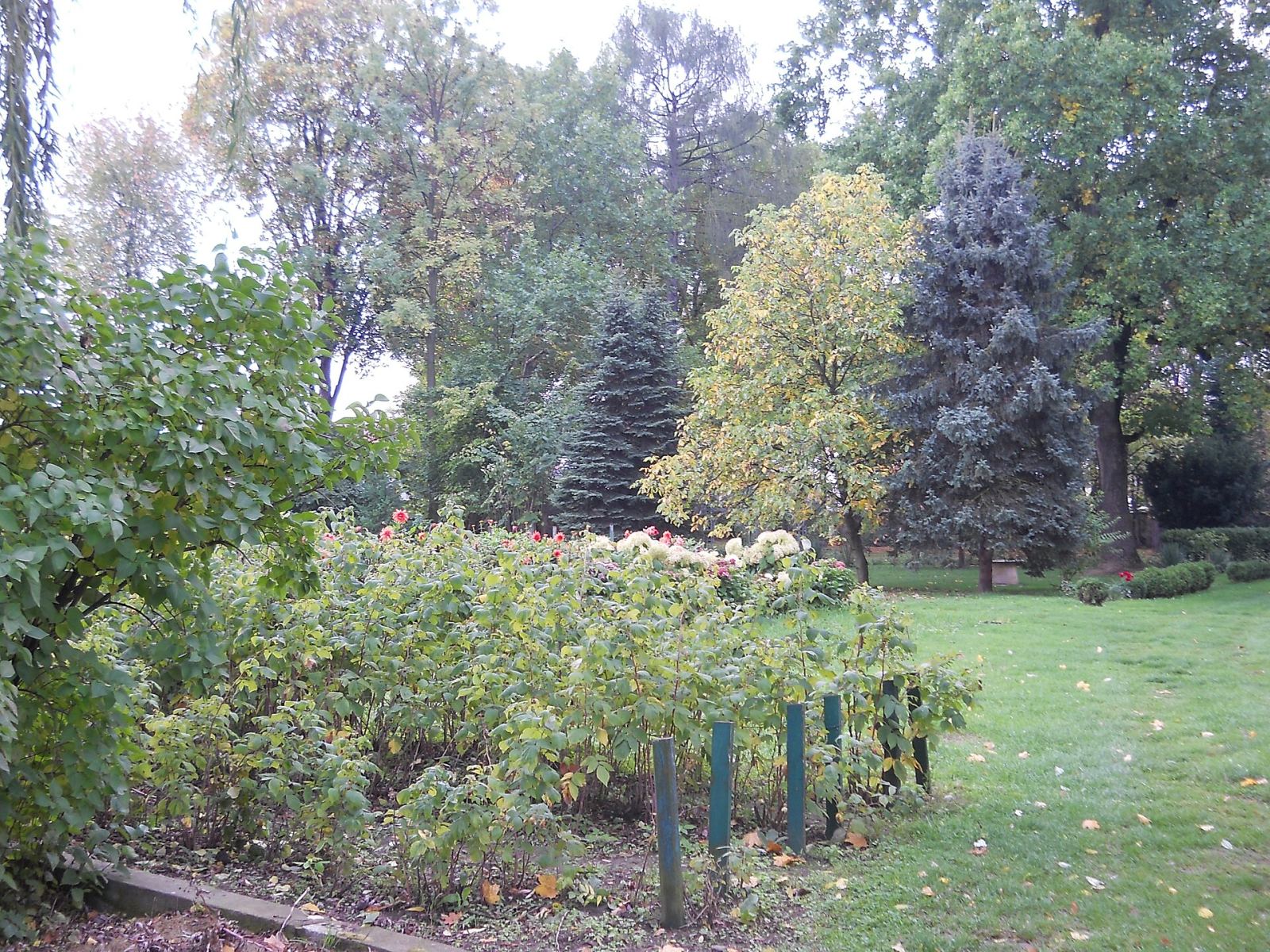 Ogród, Nowy Sącz
