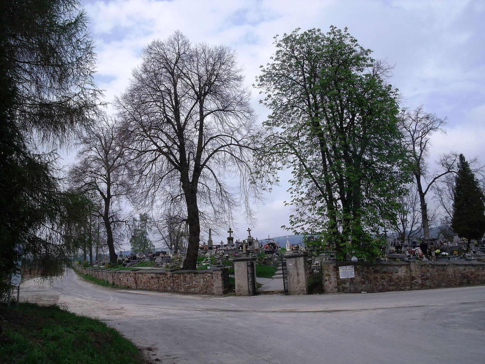 Cmentarz parafialny, Baćkowice