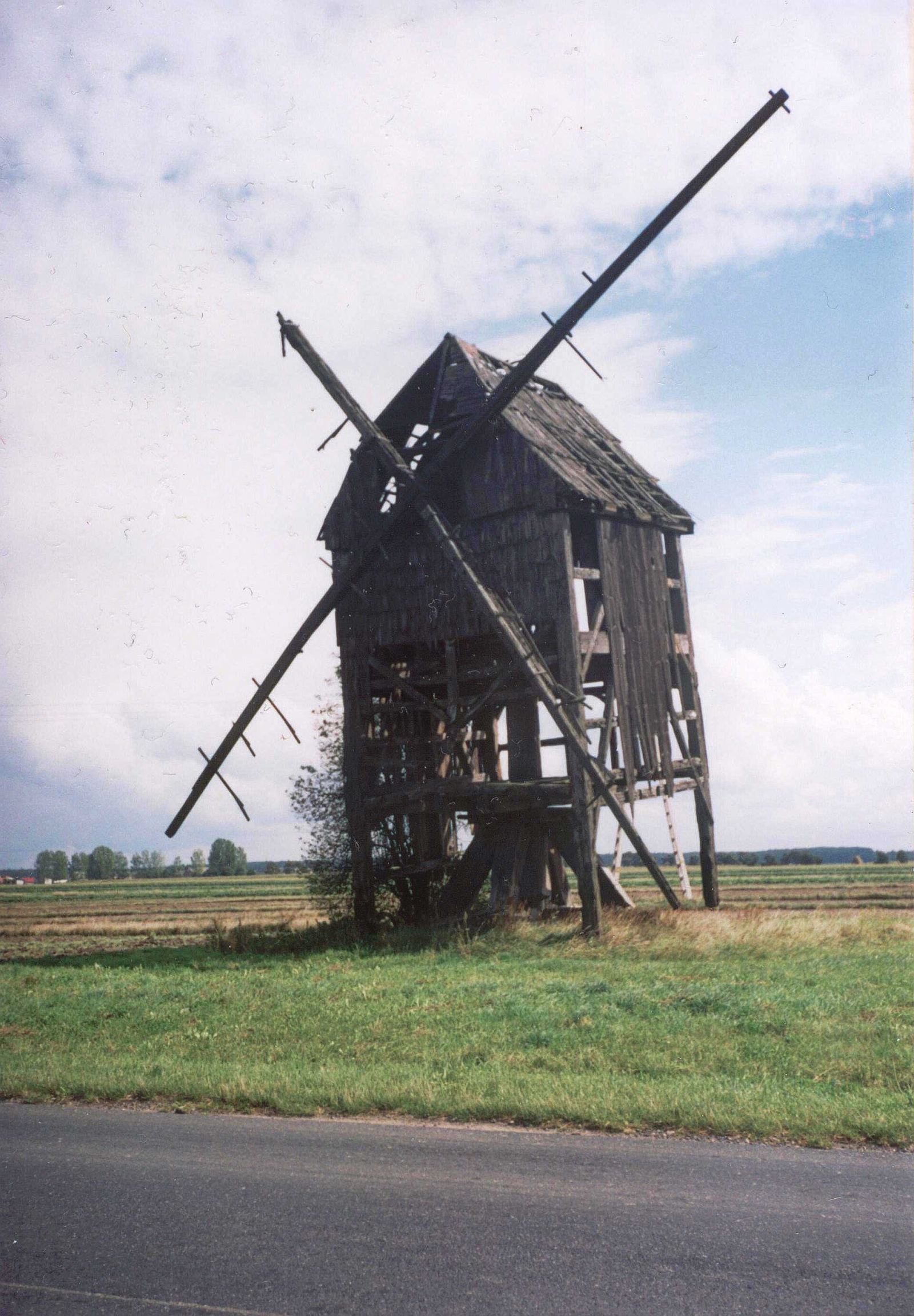 Wiatrak koźlak, Dubin