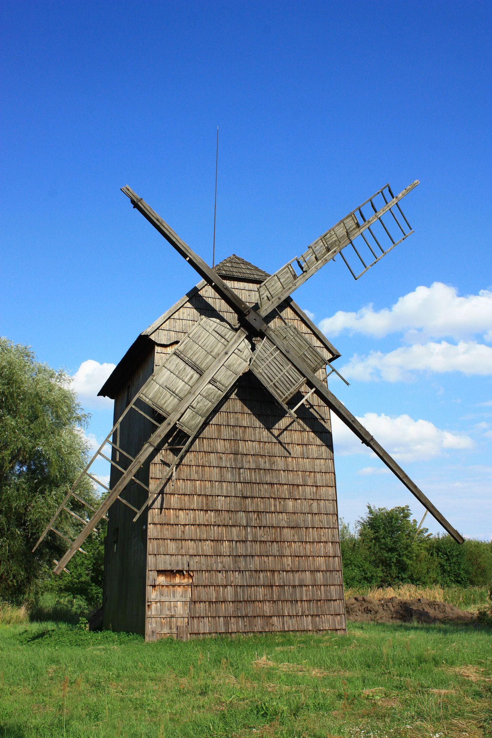 Wiatrak koźlak, Stary Kobylin
