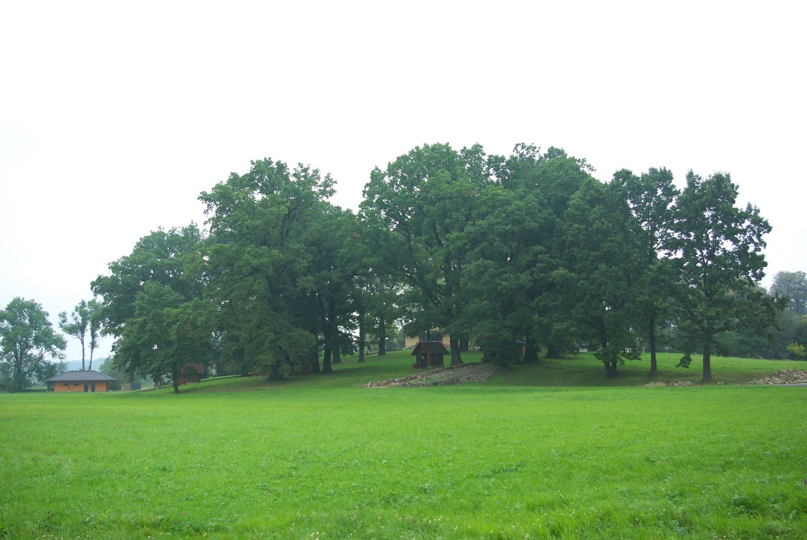 Park dworski, Strachocina