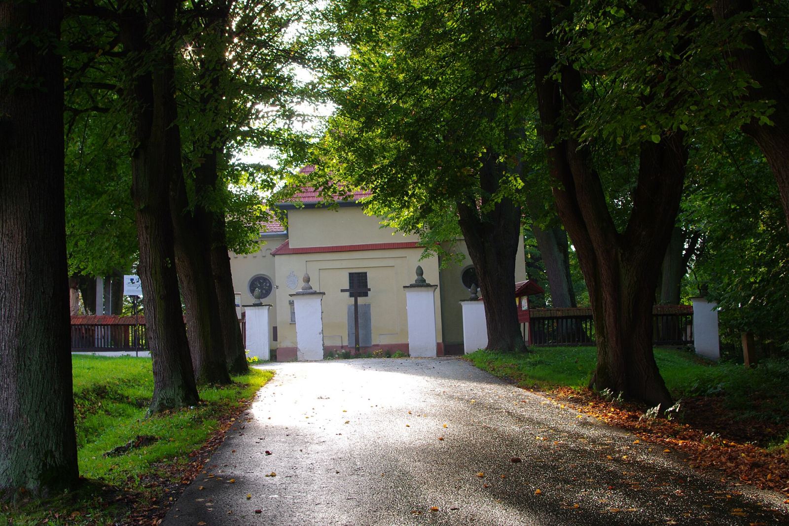 Aleja dojazdowa, Głębowice