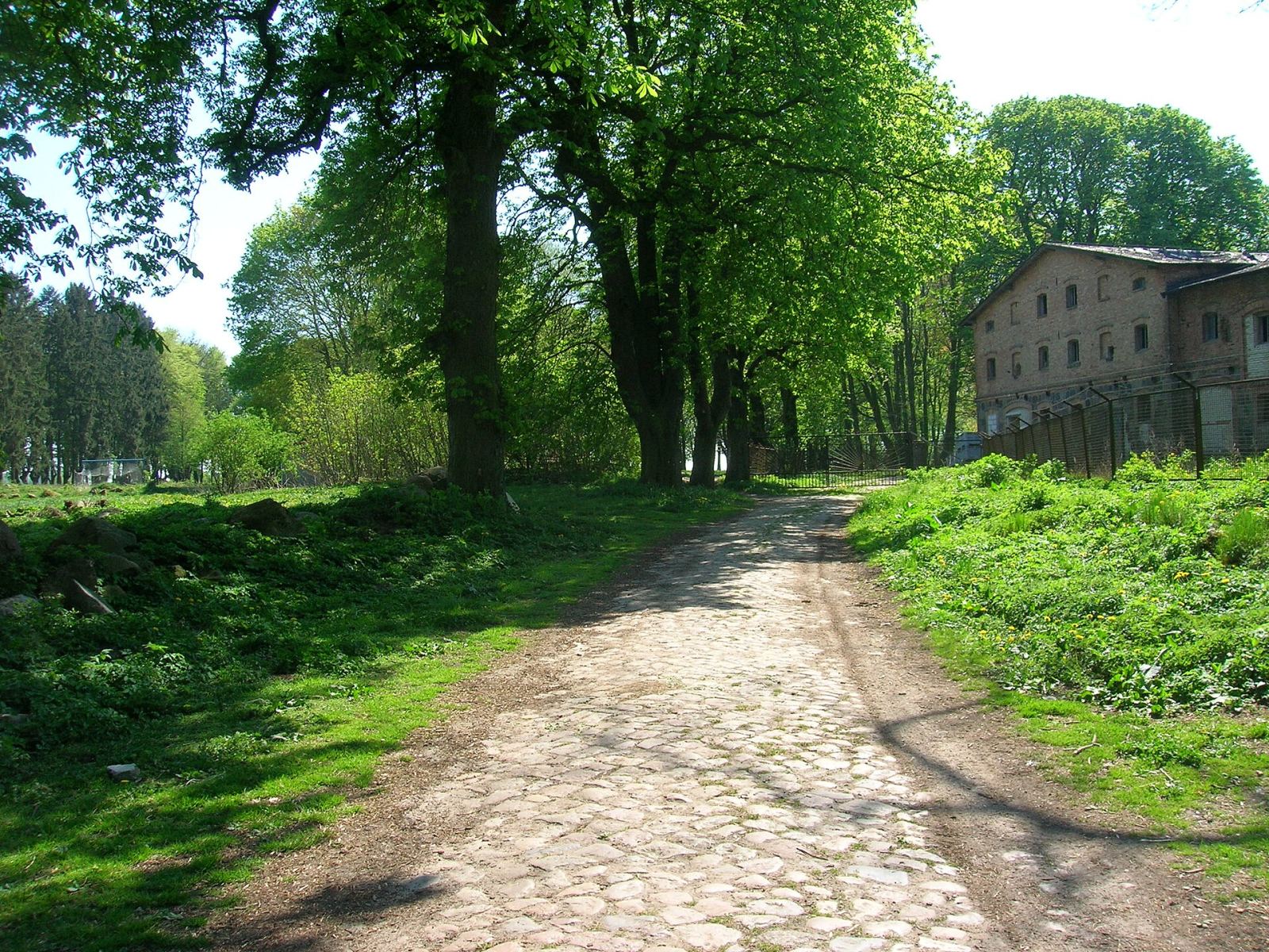 Park pałacowy, Czachowo