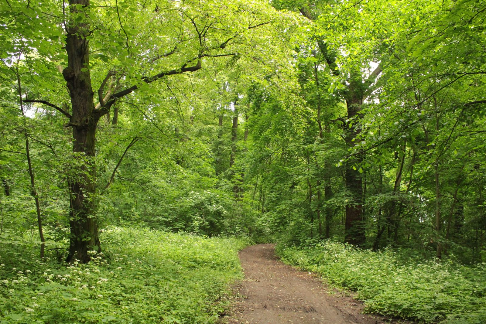 Park, Ustków