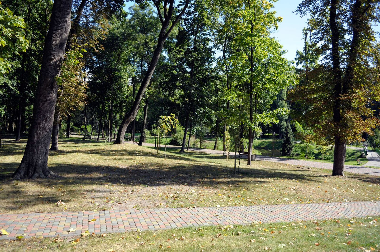 Park, Kozienice