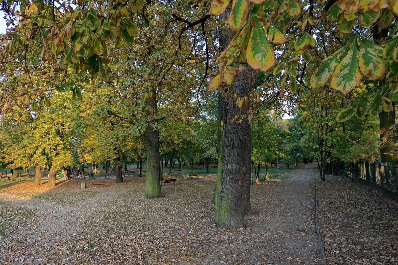 Park, Marki