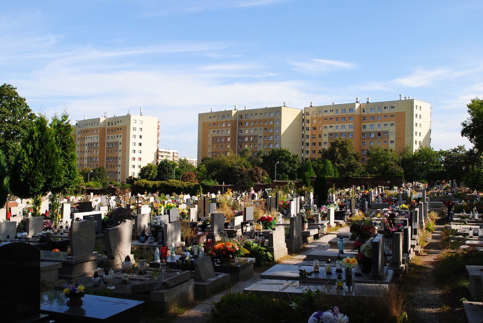 Ogrodzenie z bramami, Katowice